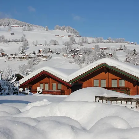 Appartement Wildschoenau *