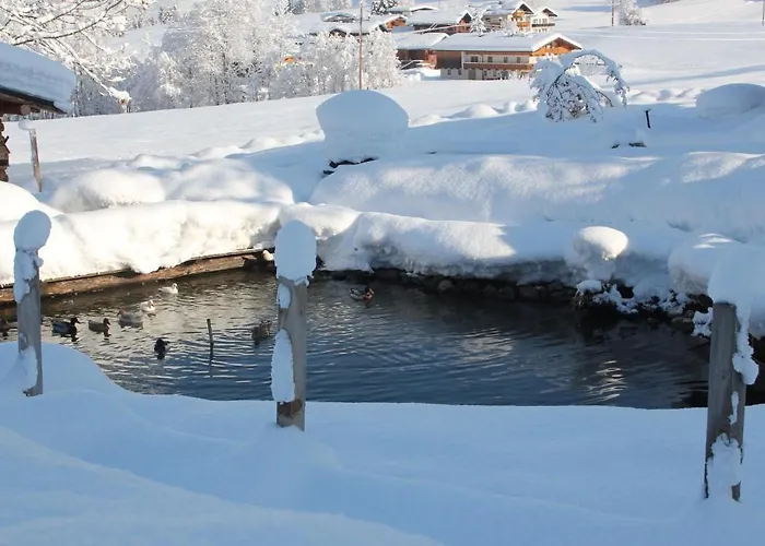 Wildschoenau شقة نيديراو